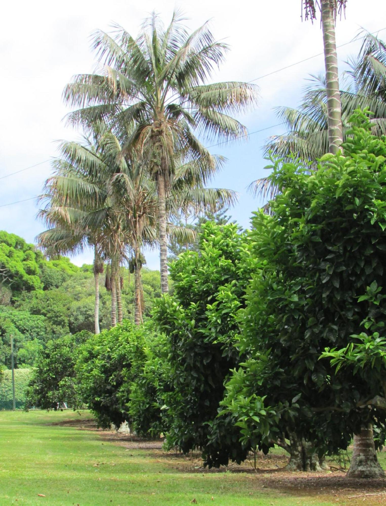 Hideaway Retreat Hotel Burnt Pine Luaran gambar
